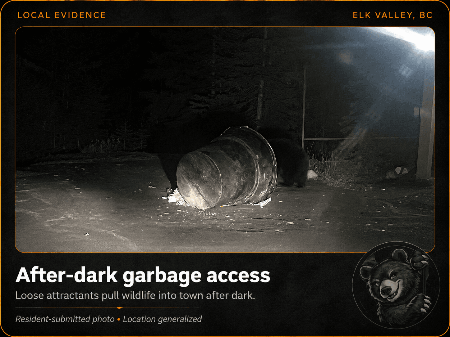 A bear pulling a metal garbage drum across a driveway after dark.