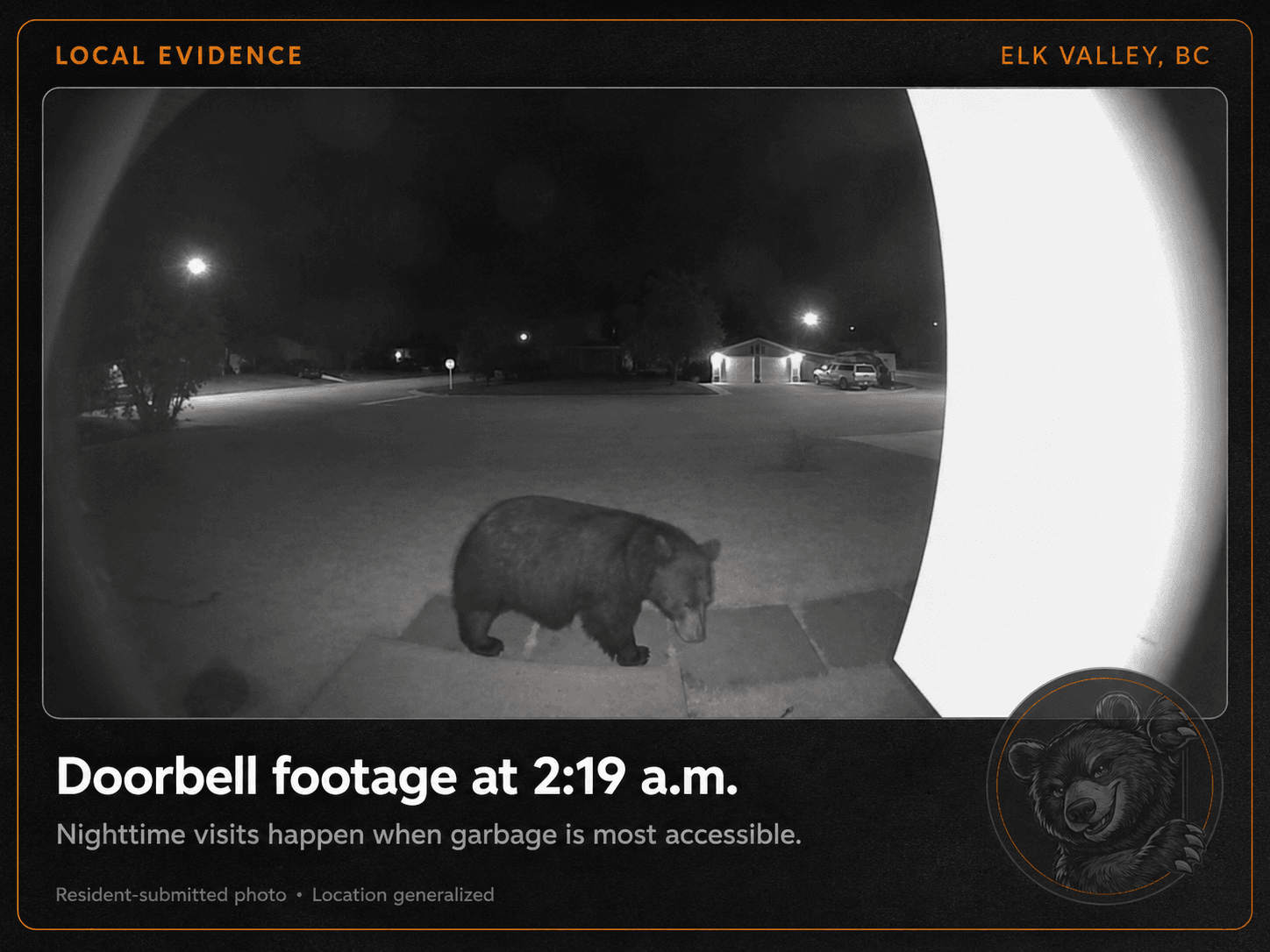 Doorbell camera footage of a bear on a residential walkway at 2:19 a.m.