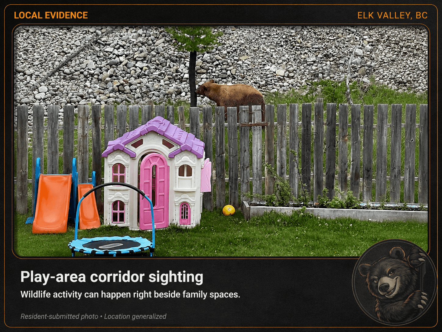 A bear climbing a backyard fence beside a child's playhouse and trampoline.